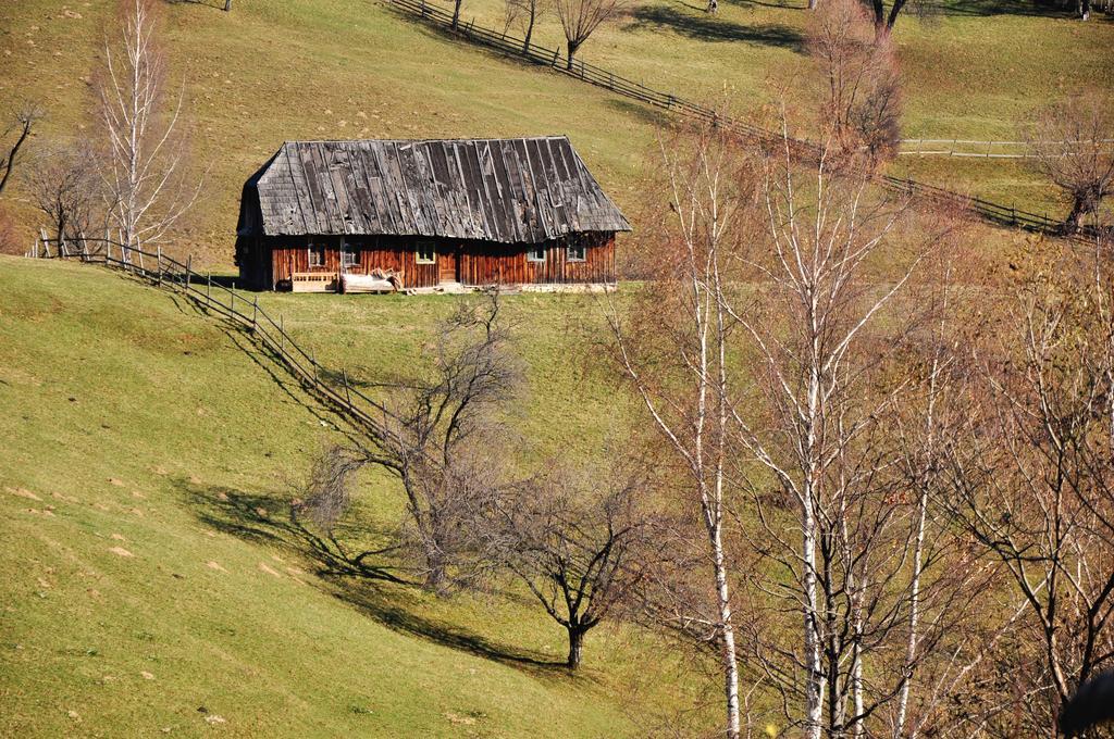 Samedru Ξενοδοχείο Măgura Εξωτερικό φωτογραφία